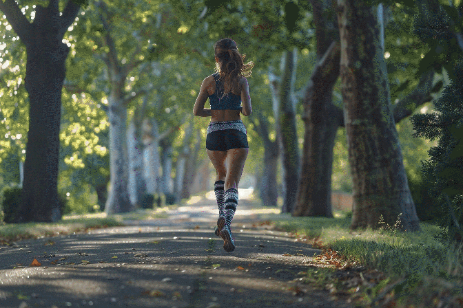 Premium Compression Socks